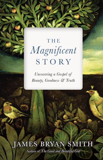 The Magnificent Story book cover